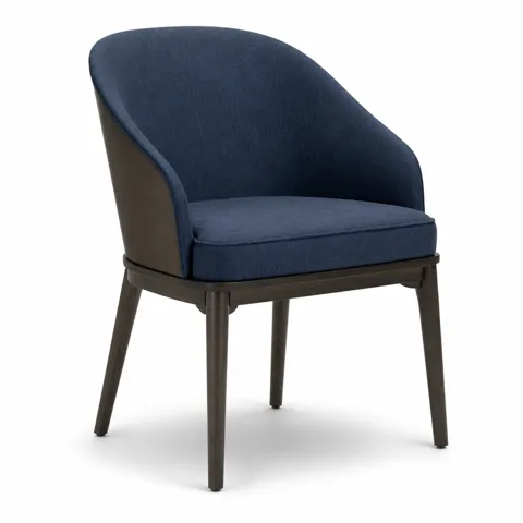Indigo Arc Dining Chair