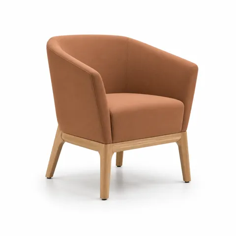 Ember Arc Lounge Chair