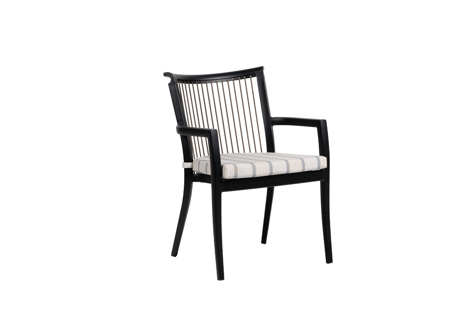 Copacabana Dining Arm Chair, view 1